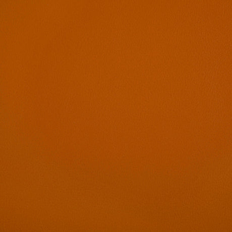 KRAVET CONTRACT RAND.12.0 RAND SQUASH Fabric - Eade's Wallpaper