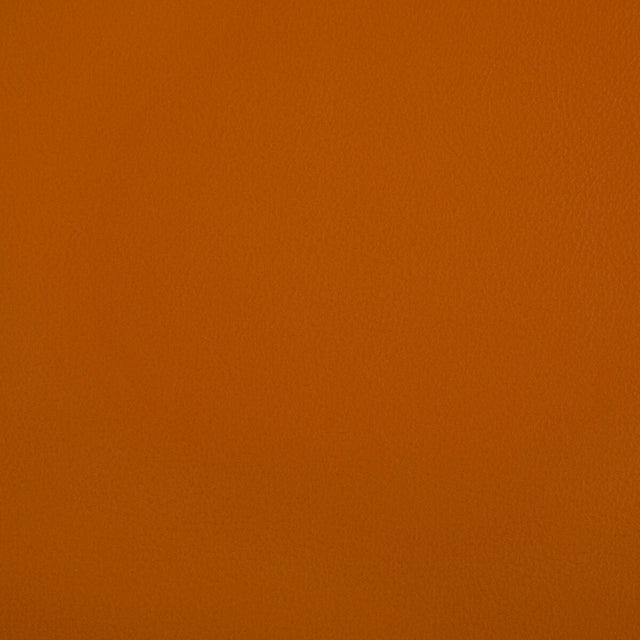 KRAVET CONTRACT RAND.12.0 RAND SQUASH Fabric - Eade's Wallpaper