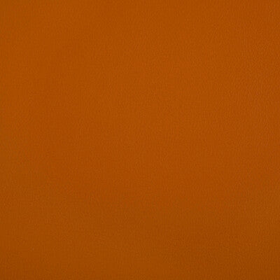 KRAVET CONTRACT RAND.12.0 RAND SQUASH Fabric - Eade's Wallpaper