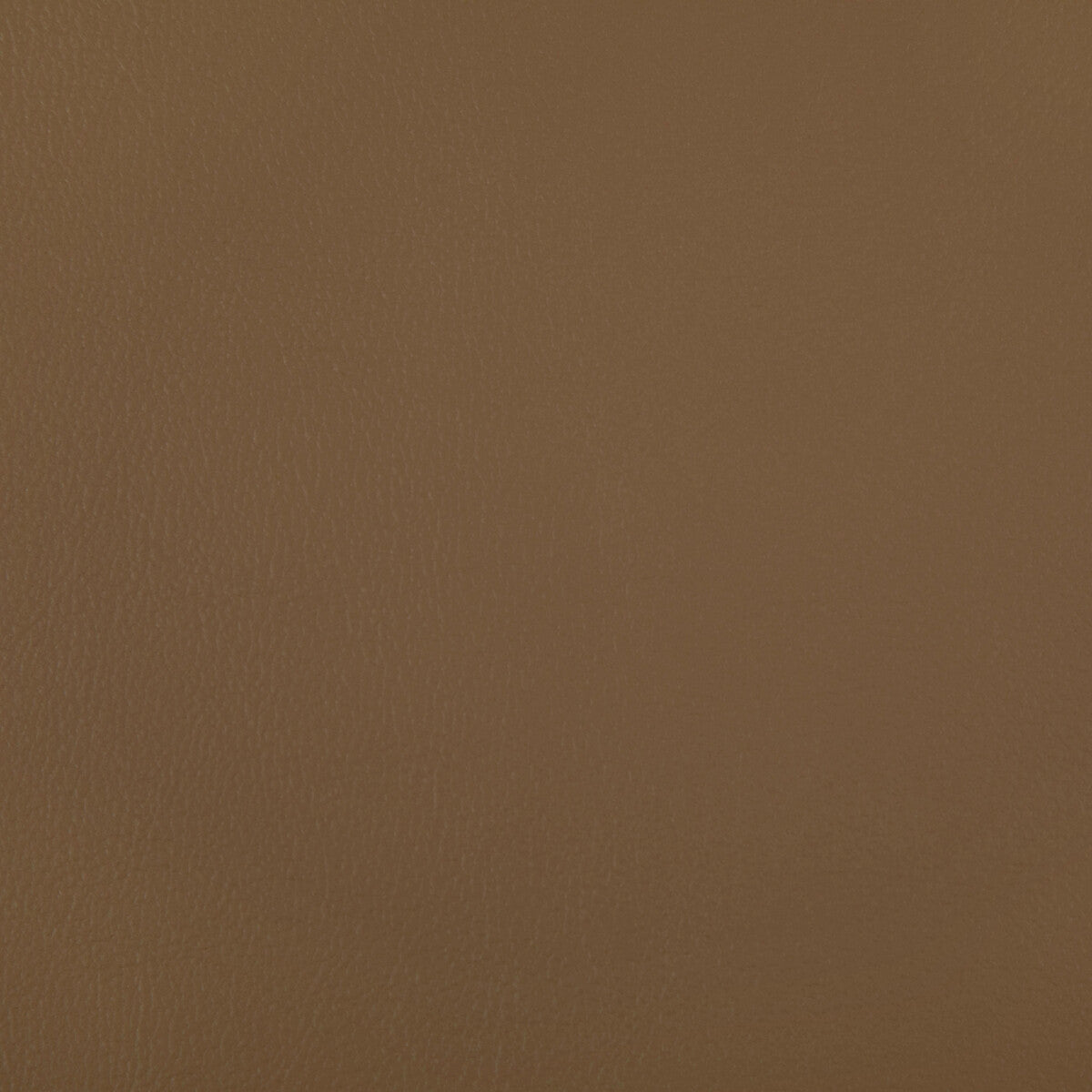 KRAVET CONTRACT RAND.16.0 RAND SADDLE Fabric - Eade's Wallpaper