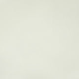 KRAVET CONTRACT RAND.1.0 RAND GESSO Fabric - Eade's Wallpaper