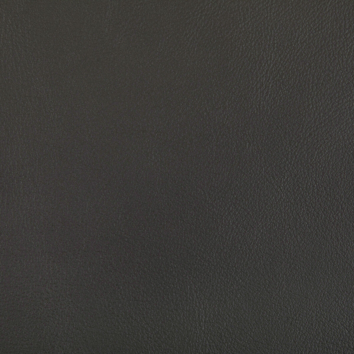 KRAVET CONTRACT RAND.21.0 RAND SHADOW Fabric - Eade's Wallpaper