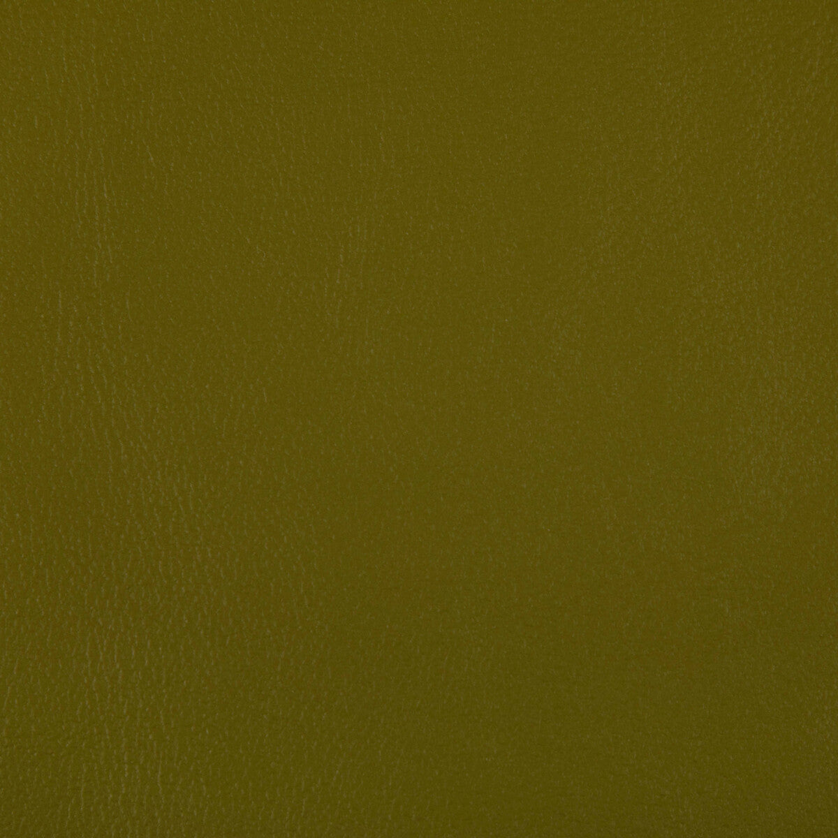 KRAVET CONTRACT RAND.23.0 RAND WASABI Fabric - Eade's Wallpaper