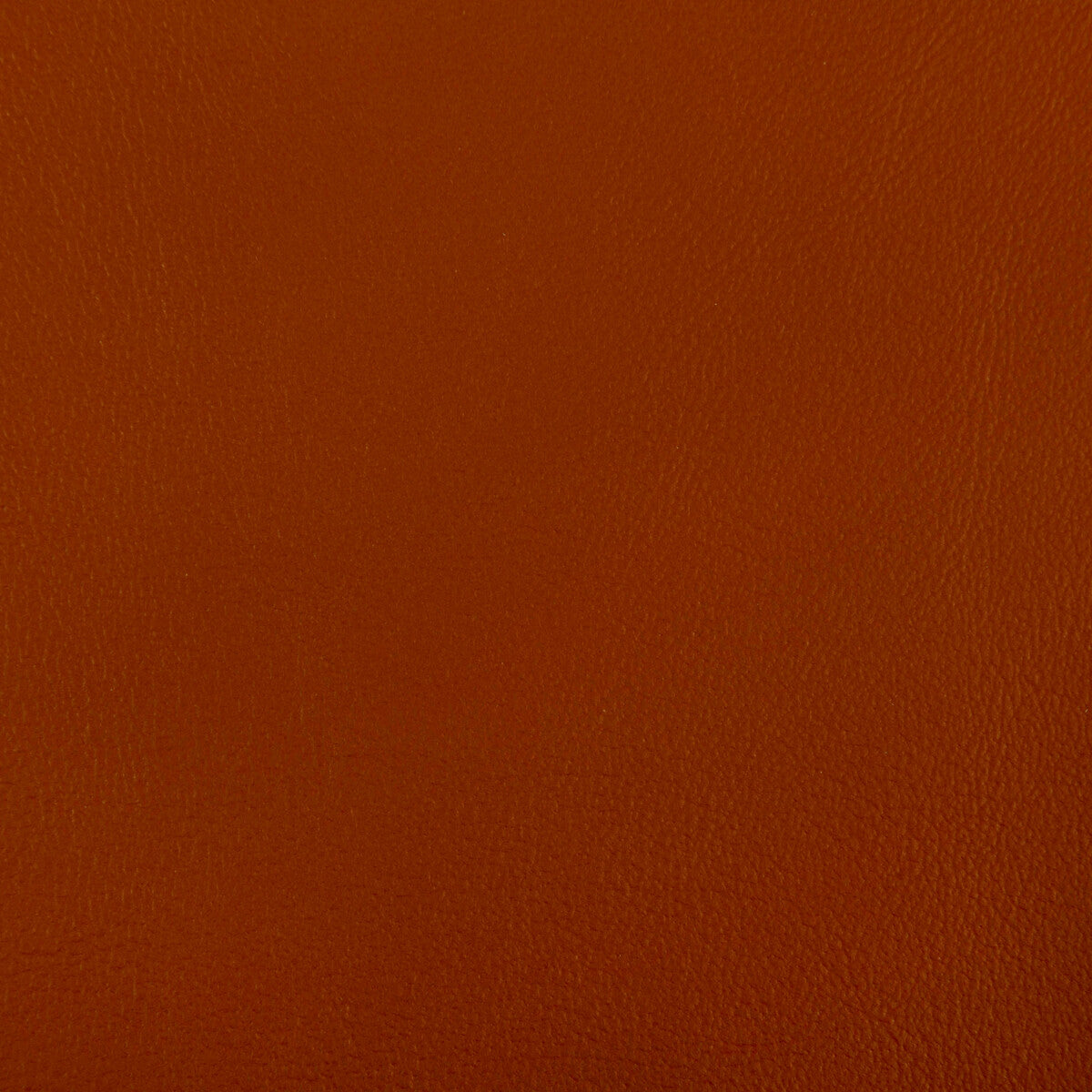 KRAVET CONTRACT RAND.24.0 RAND ADOBE Fabric - Eade's Wallpaper
