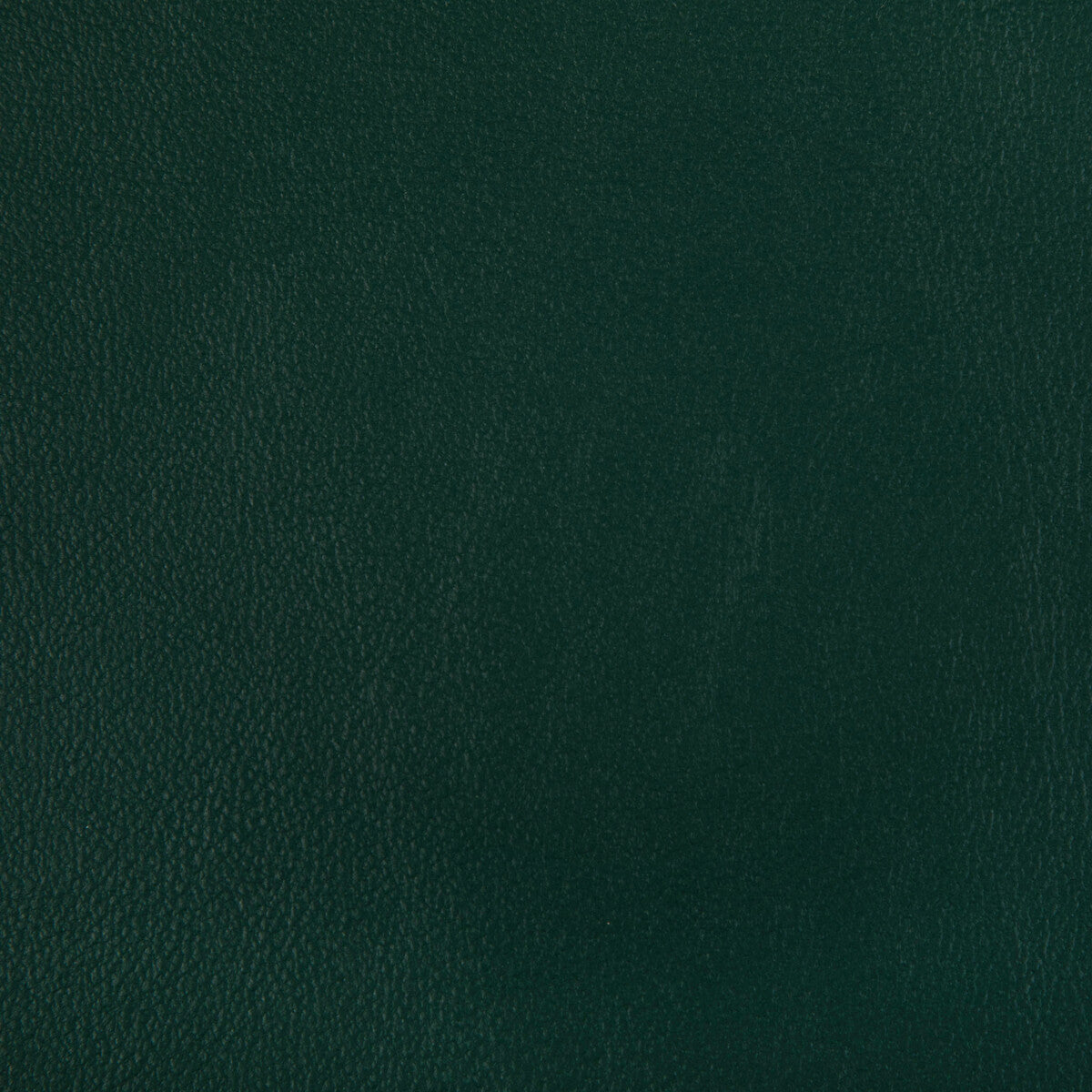 KRAVET CONTRACT RAND.3.0 RAND FOREST Fabric - Eade's Wallpaper