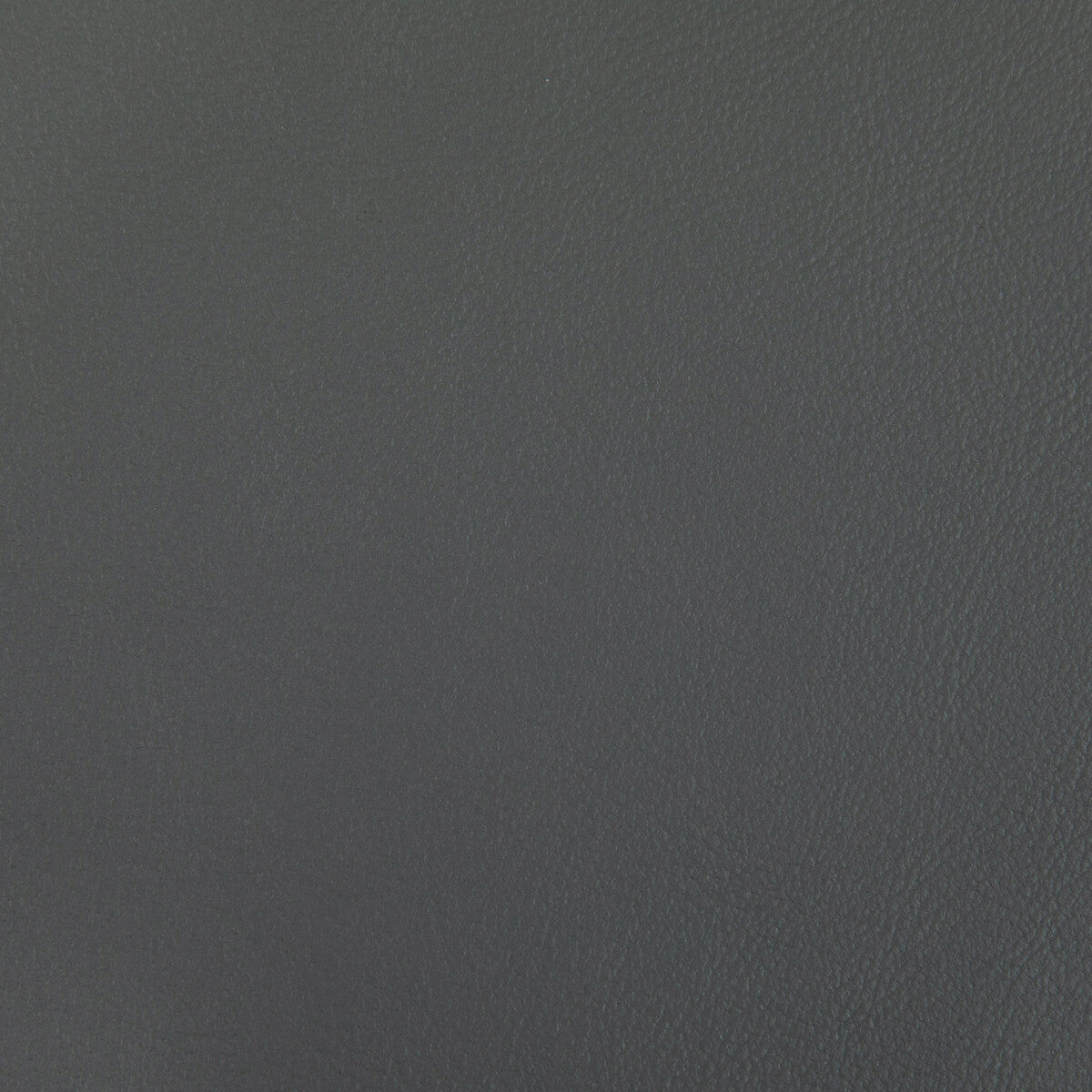 KRAVET CONTRACT RAND.511.0 RAND SHARK Fabric - Eade's Wallpaper