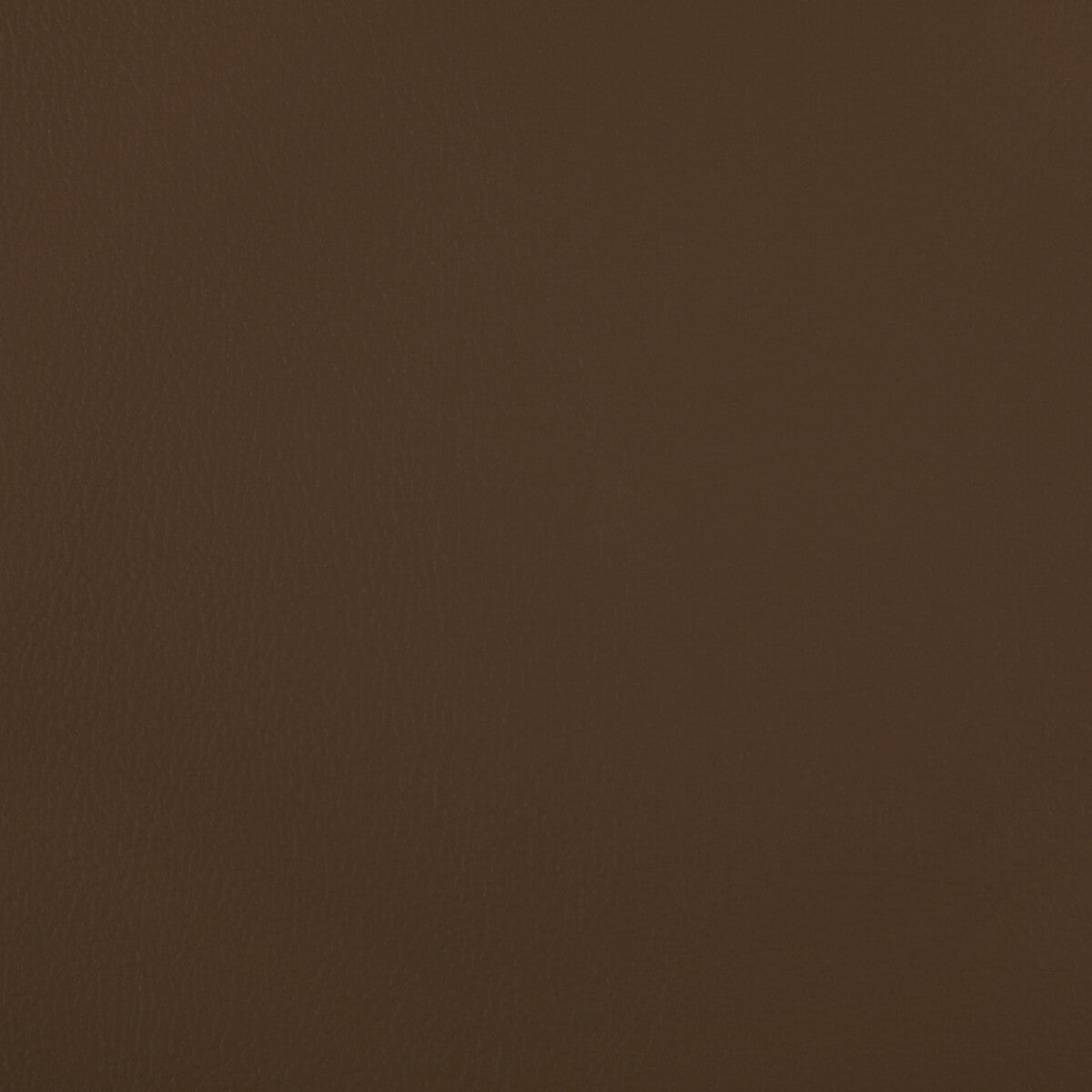 KRAVET CONTRACT RAND.6.0 RAND COGNAC Fabric - Eade's Wallpaper