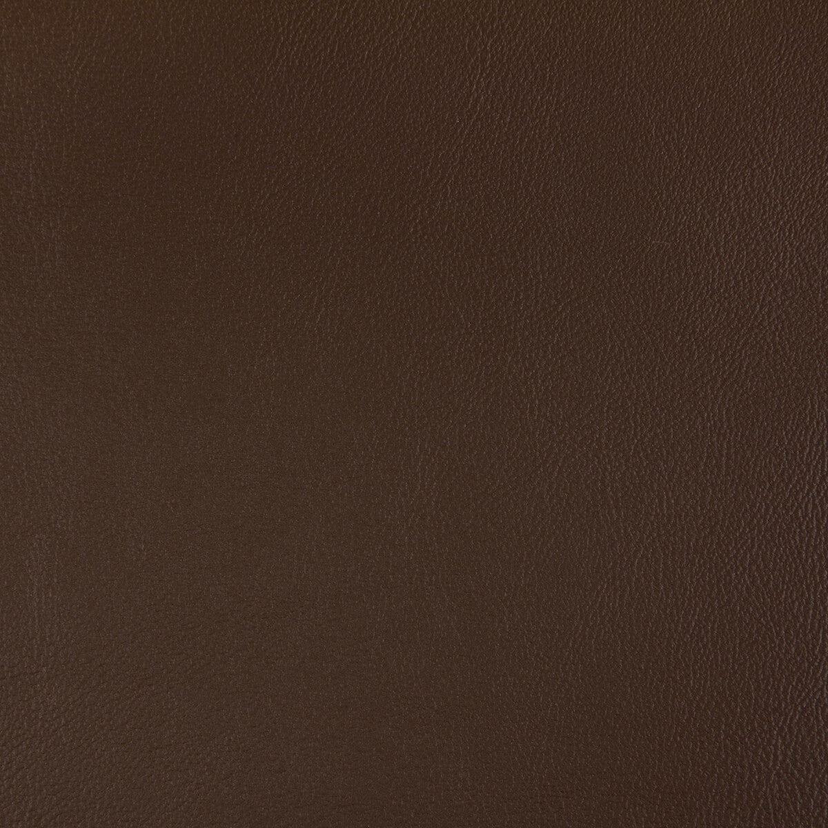 KRAVET CONTRACT RAND.66.0 RAND MAHOGANY Fabric - Eade's Wallpaper