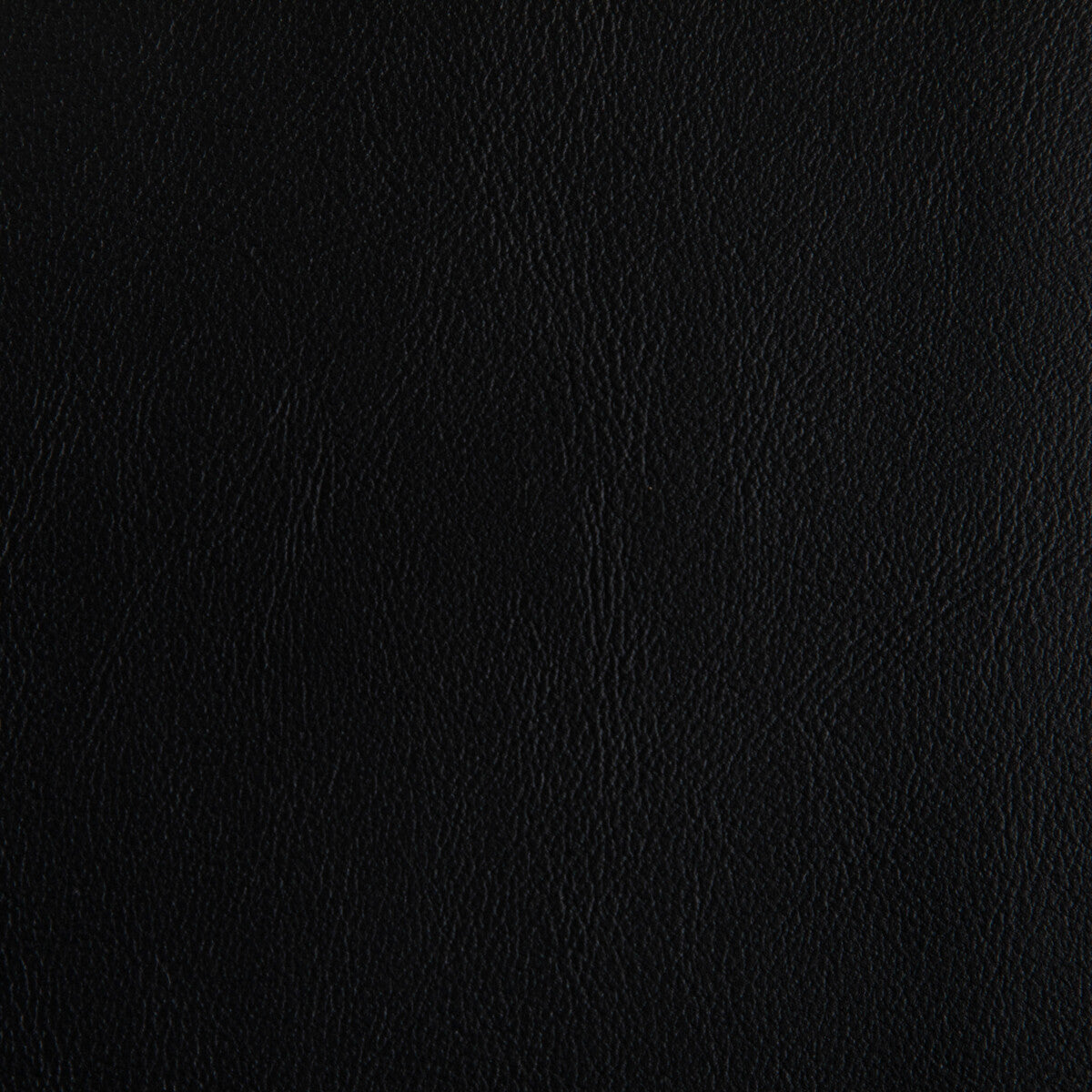 KRAVET CONTRACT RAND.8.0 RAND STALLION Fabric - Eade's Wallpaper