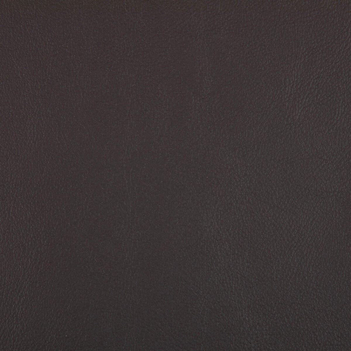 KRAVET CONTRACT RAND.811.0 RAND MOCHA Fabric - Eade's Wallpaper