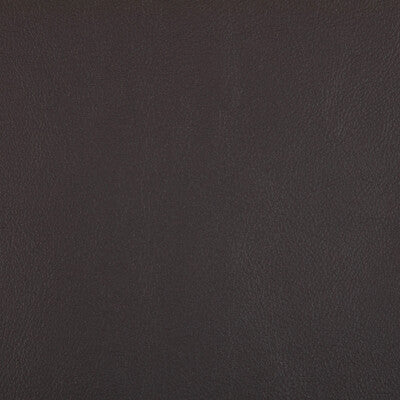 KRAVET CONTRACT RAND.811.0 RAND MOCHA Fabric - Eade's Wallpaper