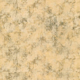 KRAVET COUTURE RAVAGE.416.0 KRAVET COUTURE RAVAGE-416 Fabric - Eade's Wallpaper