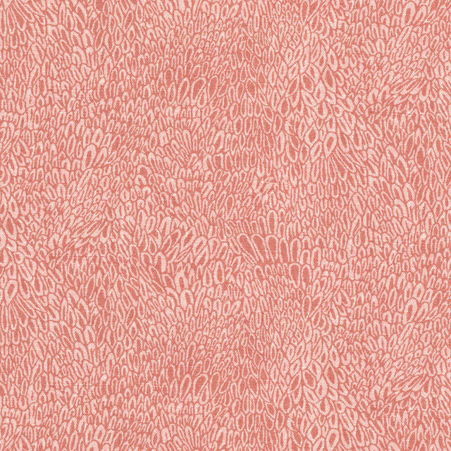 STOUT RAYM-1 RAYMOND 1 CORAL Fabric - Eades Wallpaper & Fabric