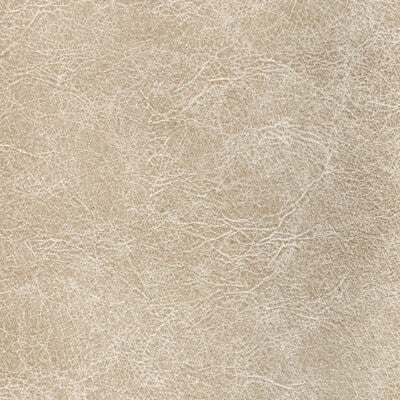 KRAVET CONTRACT REBOOT REBOOT.116.0 in FOSSIL Fabric - EVOLV