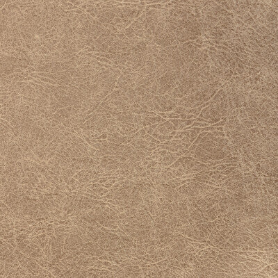 KRAVET CONTRACT REBOOT REBOOT.16.0 in DRIFTWOOD Fabric - EVO