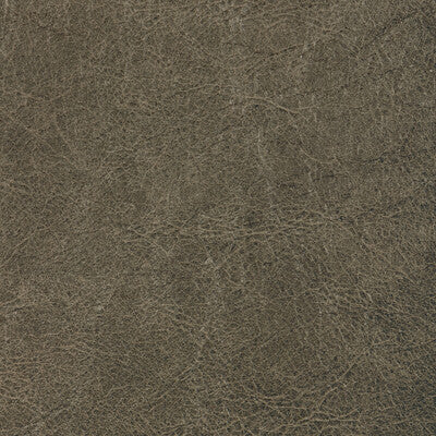 KRAVET CONTRACT REBOOT REBOOT.2111.0 in IRON Fabric - EVOLVE