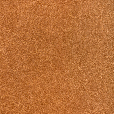 KRAVET CONTRACT REBOOT REBOOT.4.0 in SADDLE Fabric - EVOLVE 