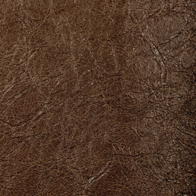 KRAVET CONTRACT REBOOT REBOOT.6.0 in UMBER Fabric - EVOLVE F