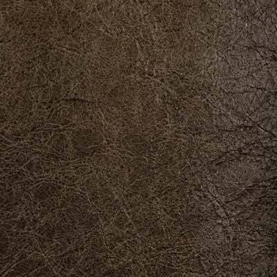 KRAVET CONTRACT REBOOT REBOOT.606.0 in WALNUT Fabric - EVOLV