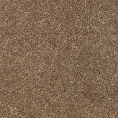 KRAVET CONTRACT REBOOT REBOOT.611.0 in BISON Fabric - EVOLVE