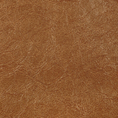 KRAVET CONTRACT REBOOT REBOOT.64.0 in BUCK Fabric - EVOLVE F