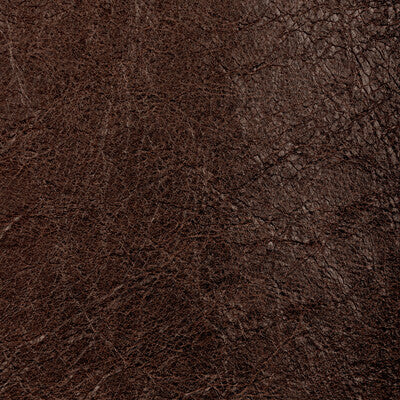 KRAVET CONTRACT REBOOT REBOOT.66.0 in CHESTNUT Fabric - EVOL