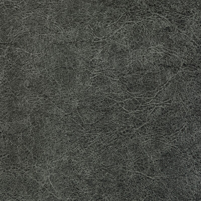 KRAVET CONTRACT REBOOT REBOOT.811.0 in ANCHOR Fabric - EVOLV