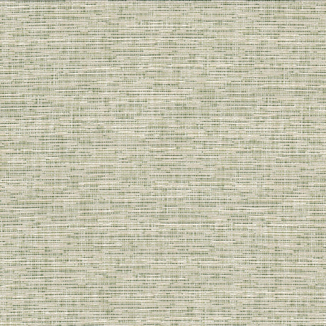 CRYPTON RECO-1 RECORD 1 GRASS Fabric - Eades Wallpaper & Fabric