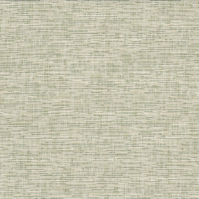 CRYPTON RECO-1 RECORD 1 GRASS Fabric - Eades Wallpaper & Fabric