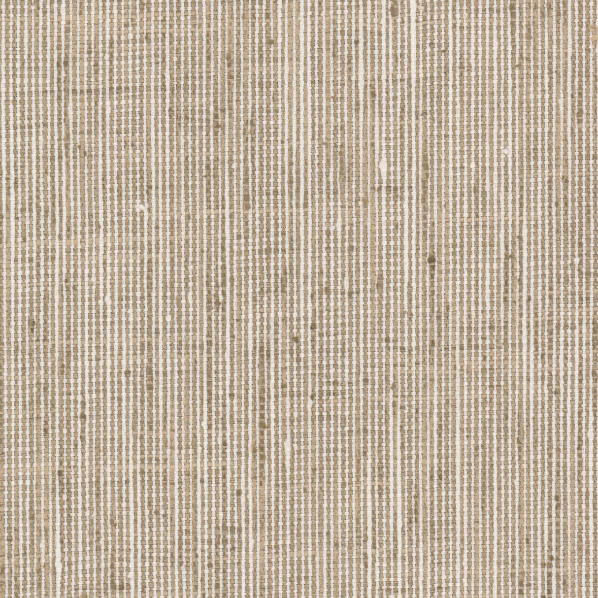STOUT REMB-7 REMBRANDT 7 KHAKI Fabric - Eades Wallpaper & Fabric