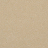 Crypton 11-J7031 REMINGTON Fabric