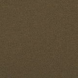 Crypton 36-J7031 REMINGTON Fabric