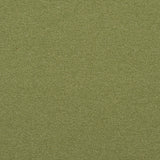 Crypton 74-J7031 REMINGTON Fabric