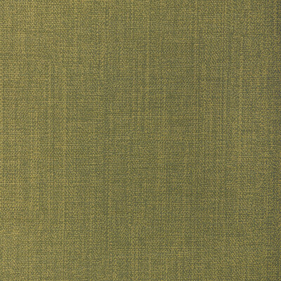 KRAVET CONTRACT REMIX REMIX.130.0 in CACTUS Fabric - EVOLVE 