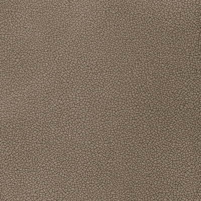 KRAVET CONTRACT RESET RESET.1121.0 in SHADOW Fabric - EVOLVE