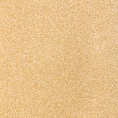 KRAVET CONTRACT RESET RESET.16.0 in SESAME Fabric - EVOLVE F
