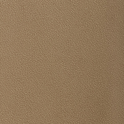 KRAVET CONTRACT RESET RESET.616.0 in BRONZE Fabric - EVOLVE 