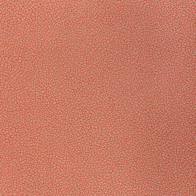 KRAVET CONTRACT RESET RESET.712.0 in DOGWOOD Fabric - EVOLVE