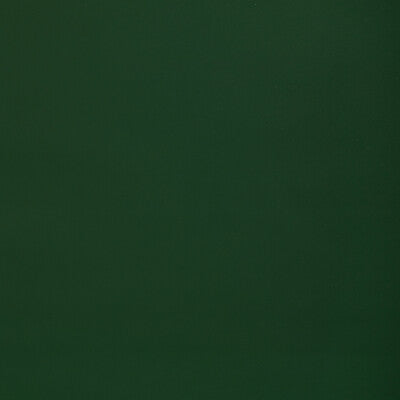 KRAVET CONTRACT RETOUCH RETOUCH.33.0 in WOODLAND Fabric - RE