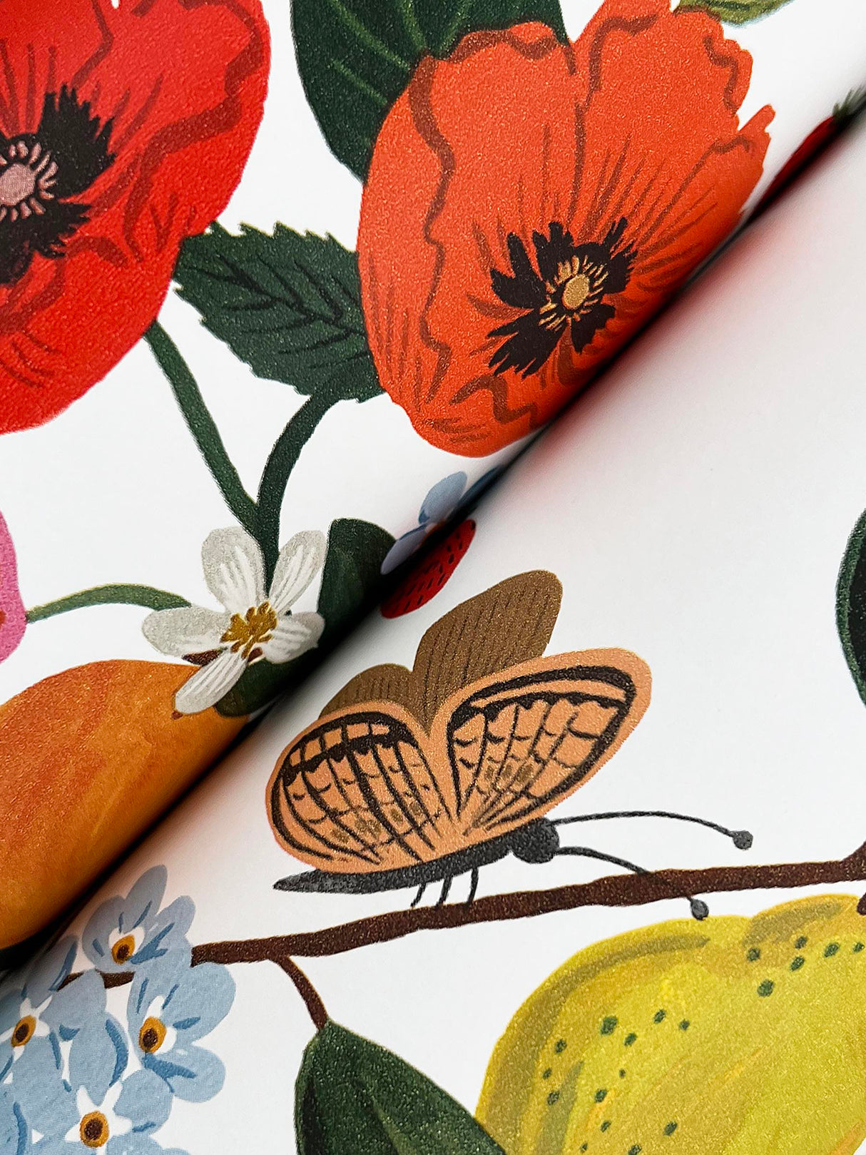 Rifle Paper Co. RF7402 Flower Studies Bright Wallpaper