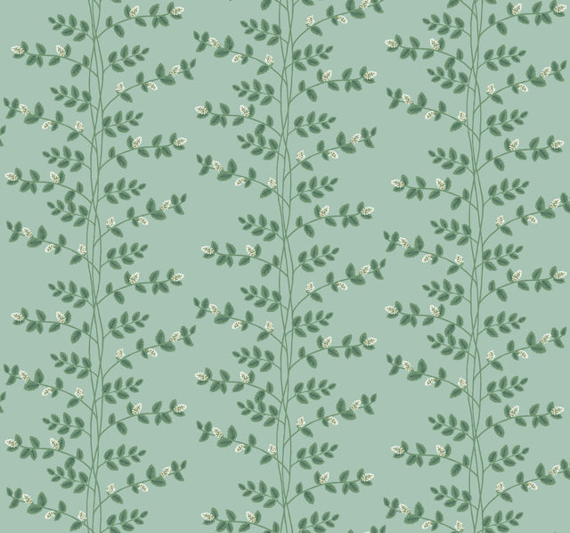 Rifle Paper Co. RF7421 Climbing Vine Wallpaper - Eade's Wallpaper
