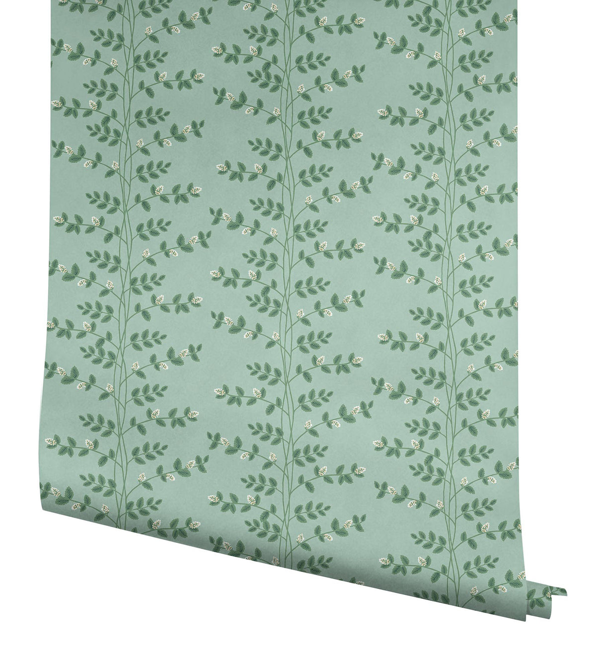 Rifle Paper Co. RF7421 Climbing Vine Soft Teal Wallpaper