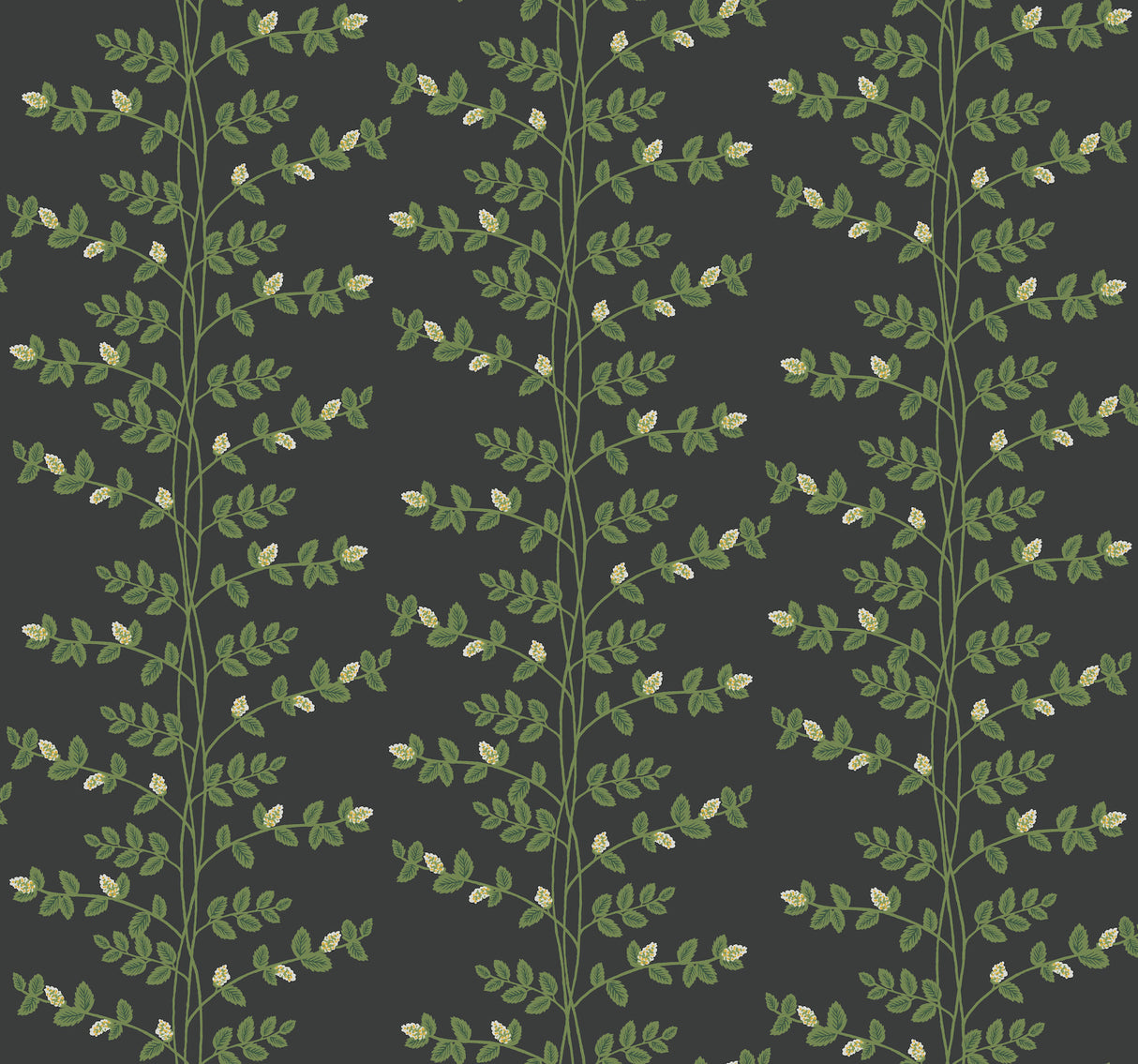 Rifle Paper Co. RF7422 Climbing Vine Black Wallpaper