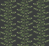 Rifle Paper Co. RF7422 Climbing Vine Black Wallpaper