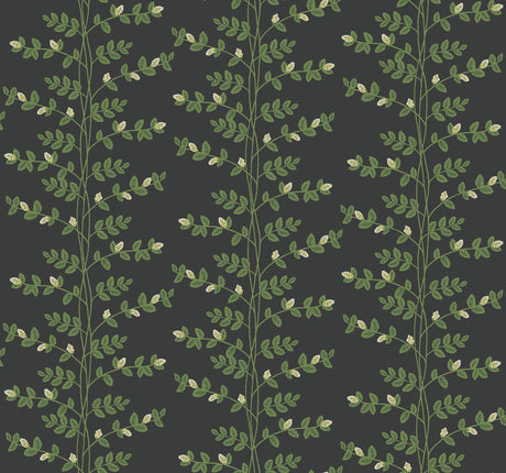 Rifle Paper Co. RF7422 Climbing Vine Black Wallpaper