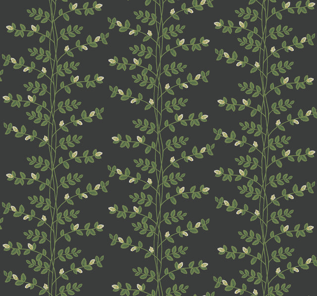 Rifle Paper Co. RF7422 Climbing Vine Black Wallpaper