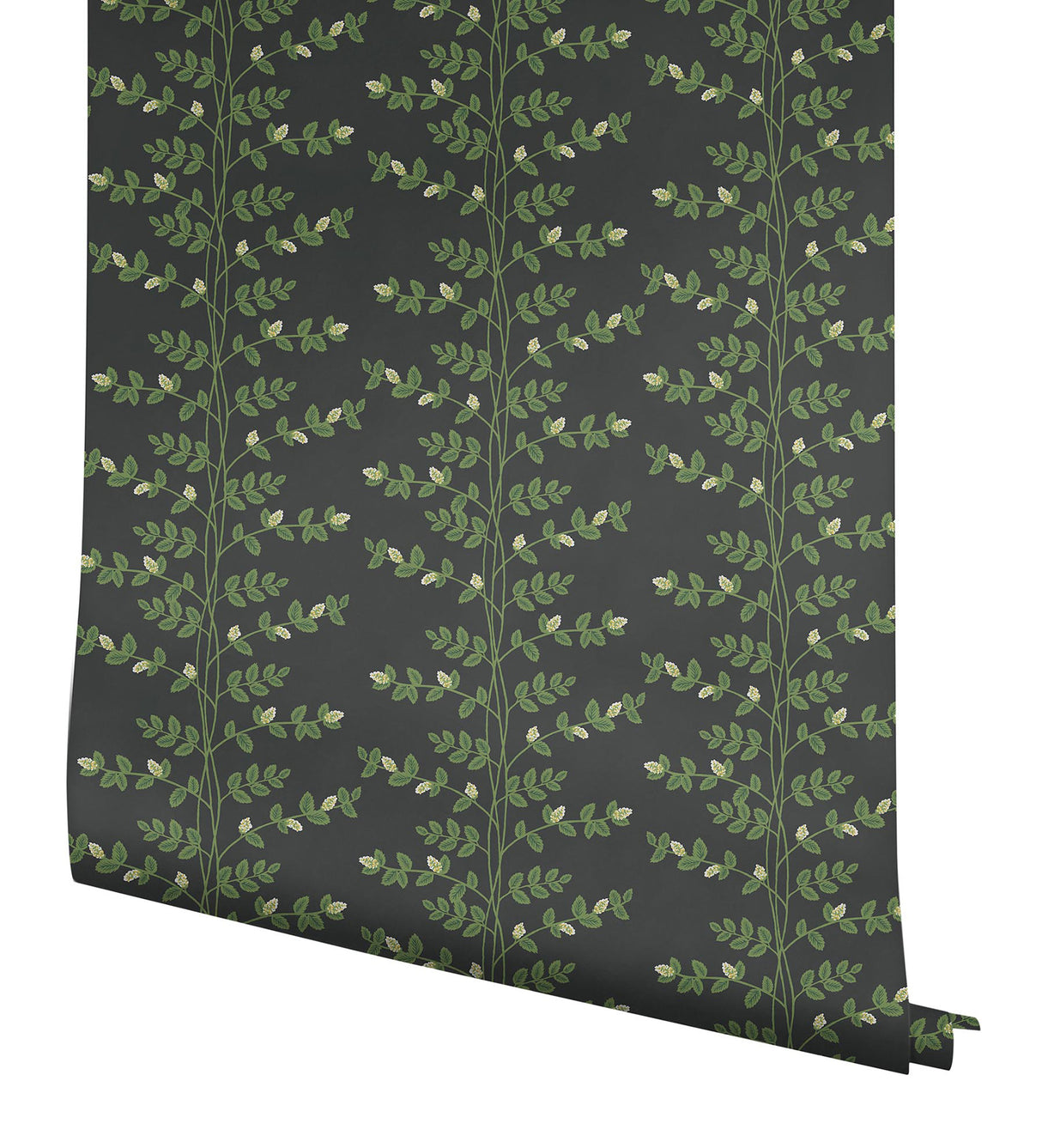 Rifle Paper Co. RF7422 Climbing Vine Black Wallpaper