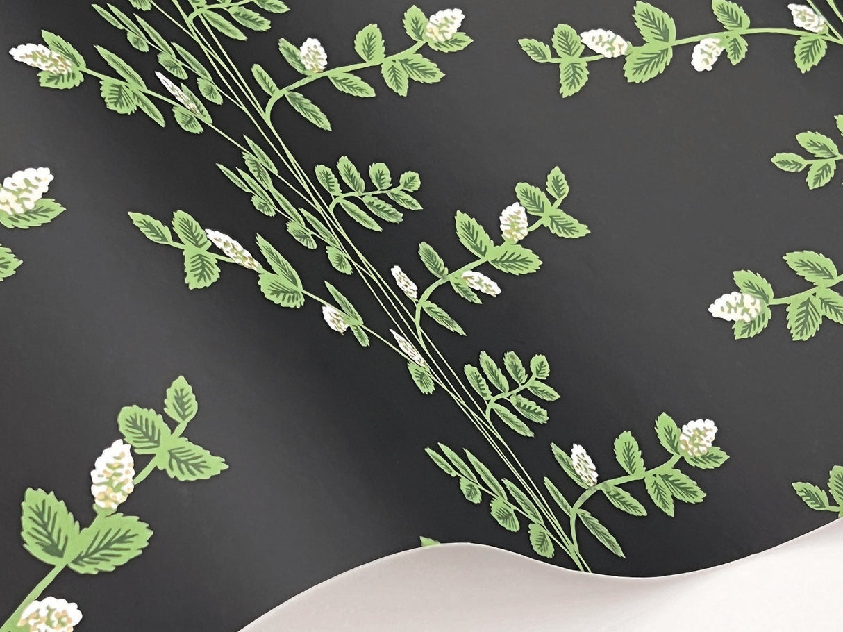 Rifle Paper Co. RF7422 Climbing Vine Black Wallpaper