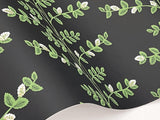 Rifle Paper Co. RF7422 Climbing Vine Black Wallpaper