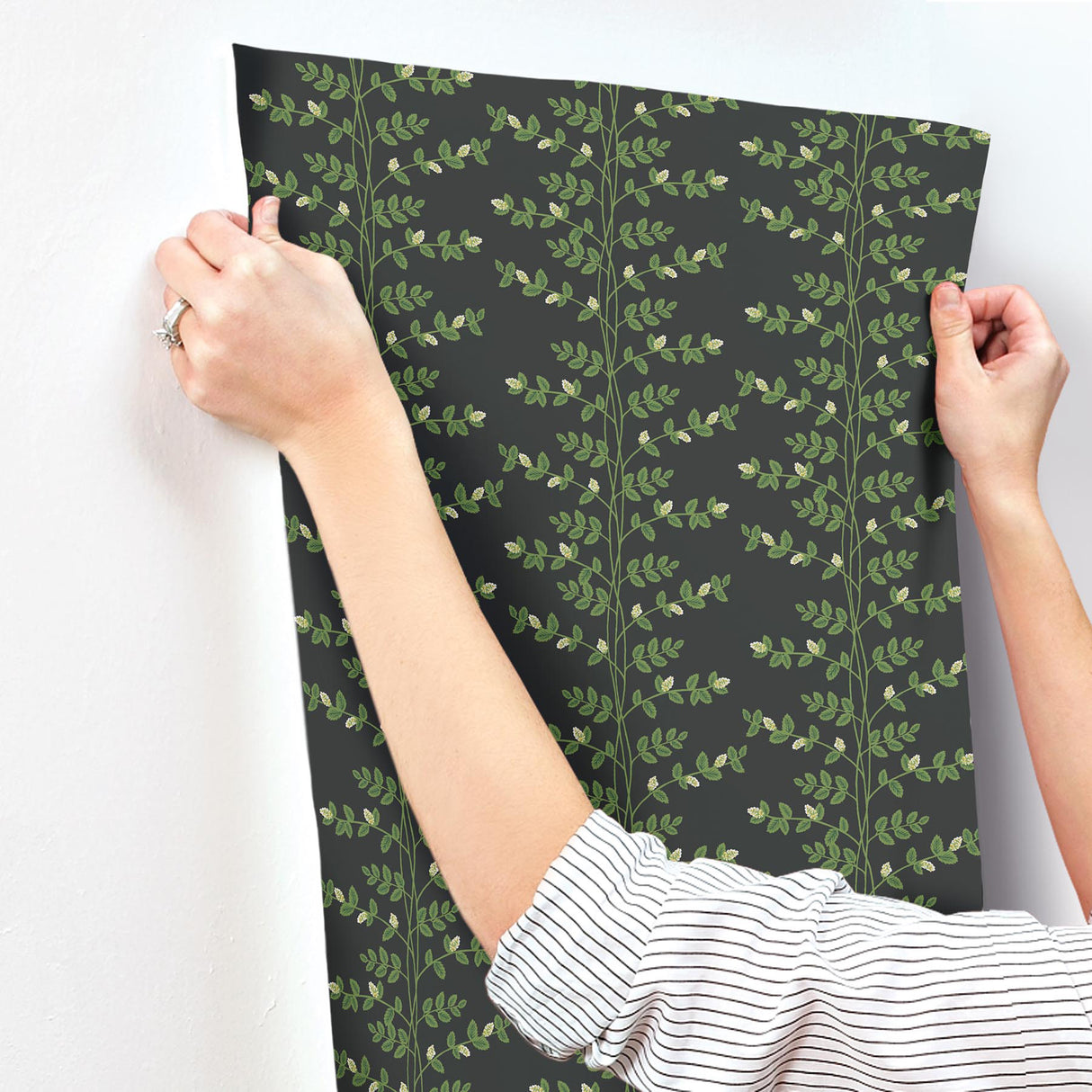 Rifle Paper Co. RF7422 Climbing Vine Black Wallpaper